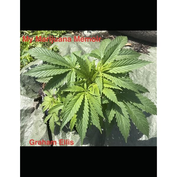 The Cannabible 2: King, Jason: 9781580085168: Amazon.com: Books